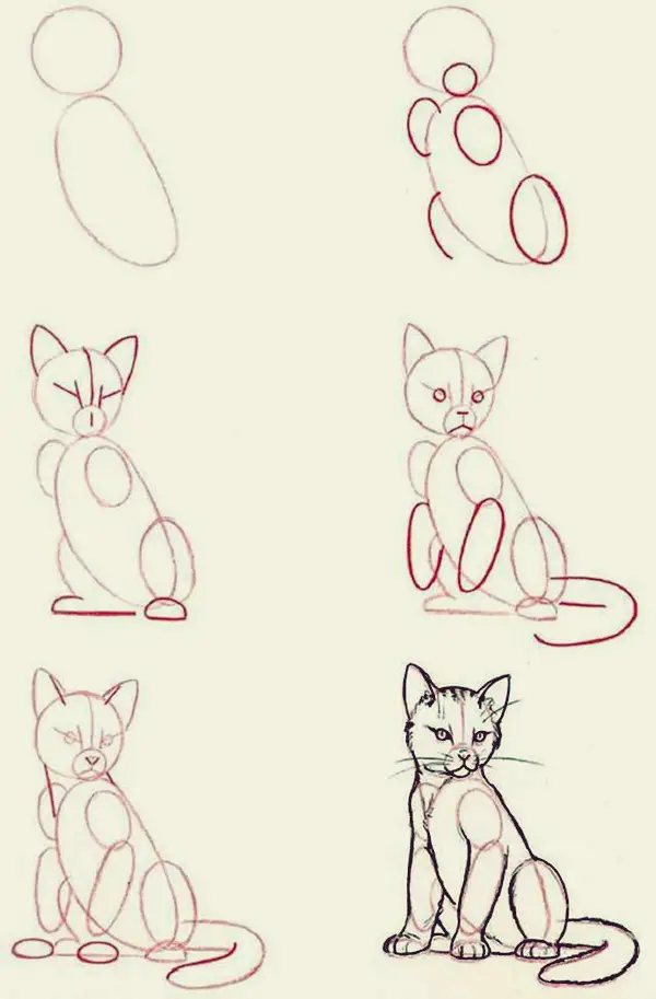 How to draw Cute Animals: 45 Examples - Greenorc