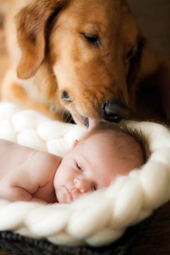 45 Cute Pictures Of Babies And Dogs - Greenorc