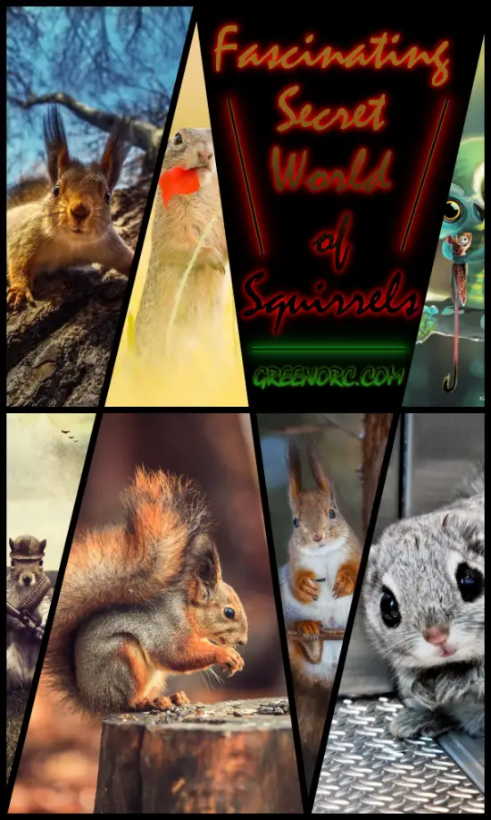 45 Fascinating Secret World of Squirrels - Greenorc