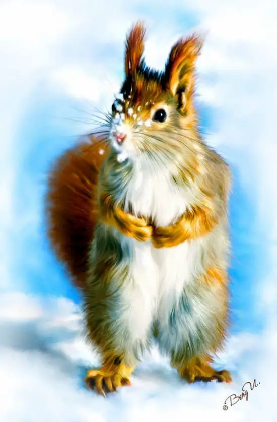 45 Fascinating Secret World of Squirrels - Greenorc