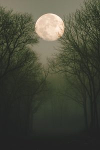 45 Fascinating Full Moon Photography Tips and Ideas - Greenorc